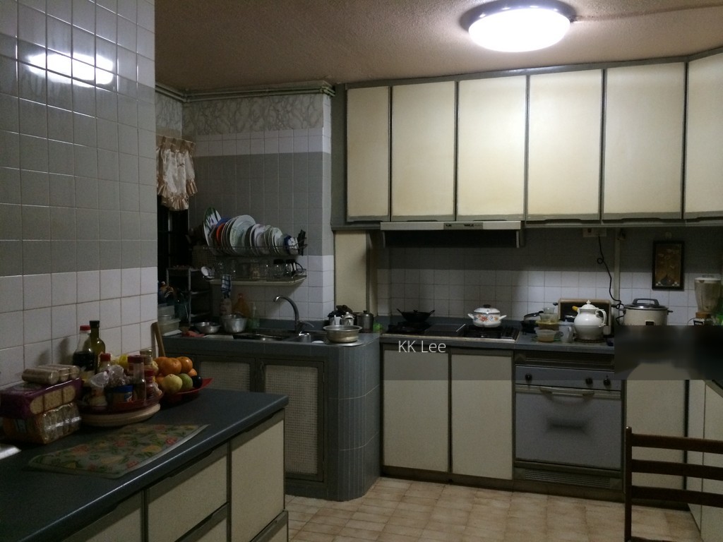 Blk 133 Geylang East Avenue 1 (Geylang), HDB Executive #127579352